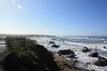 Cambria